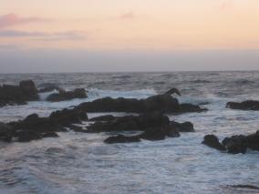 IMG_0872.JPG